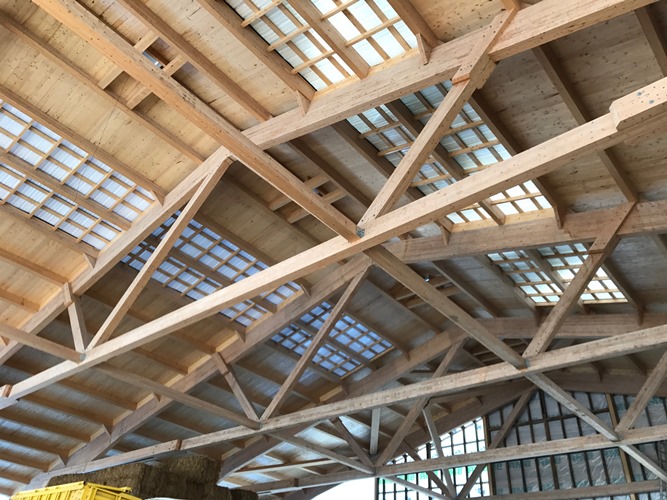 bâtiment agricole structure de bois c consultants Lemay Choinière génie agricole commercial résidentiel agroalimentaire laitier équestre porcin avicole environnement ingénieur agricole